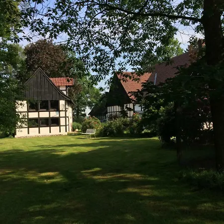 Backhaus